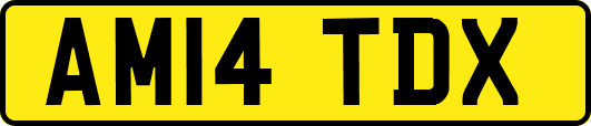 AM14TDX