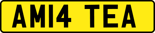 AM14TEA