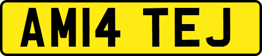 AM14TEJ
