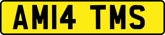 AM14TMS