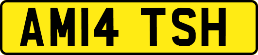 AM14TSH