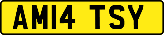 AM14TSY