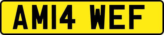 AM14WEF