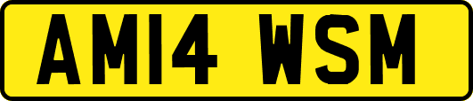 AM14WSM