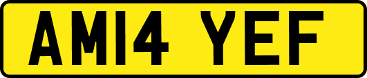 AM14YEF