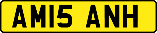 AM15ANH
