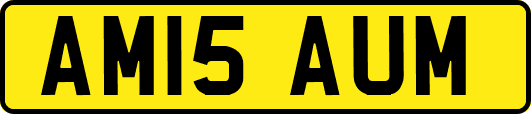 AM15AUM