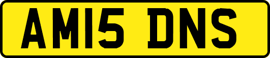 AM15DNS