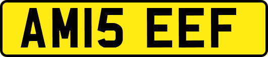 AM15EEF