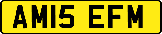 AM15EFM