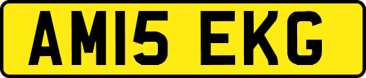 AM15EKG