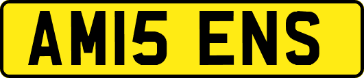 AM15ENS