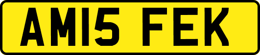 AM15FEK