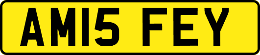 AM15FEY