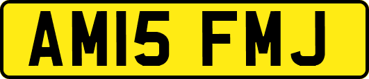 AM15FMJ