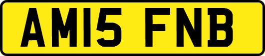 AM15FNB