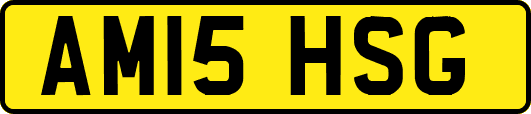 AM15HSG