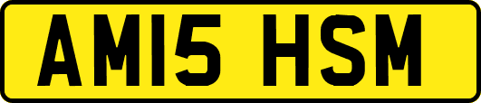 AM15HSM