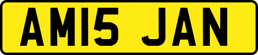 AM15JAN