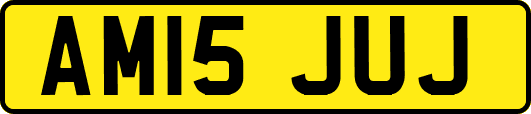 AM15JUJ