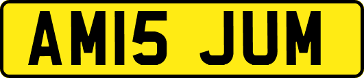 AM15JUM