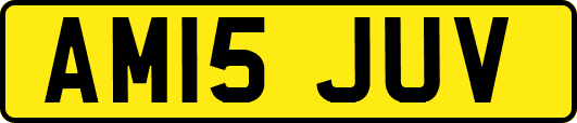 AM15JUV