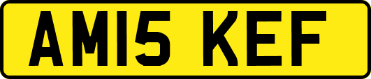 AM15KEF
