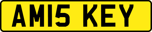 AM15KEY