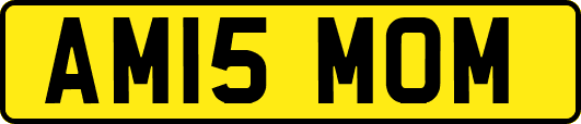 AM15MOM