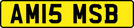 AM15MSB