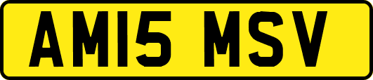 AM15MSV