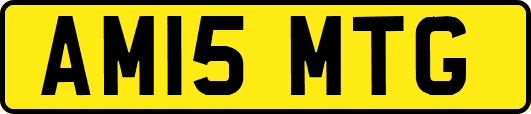 AM15MTG
