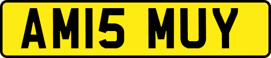 AM15MUY