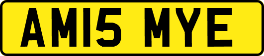 AM15MYE