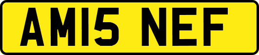 AM15NEF