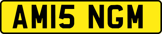 AM15NGM
