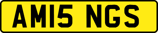 AM15NGS