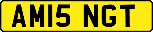 AM15NGT