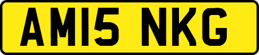 AM15NKG