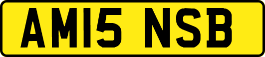 AM15NSB