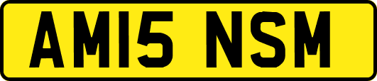 AM15NSM