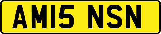 AM15NSN