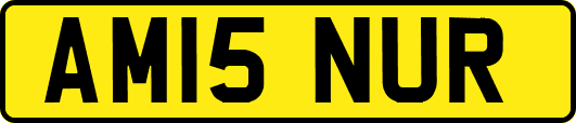 AM15NUR