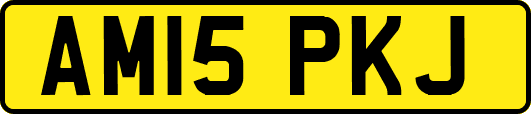 AM15PKJ