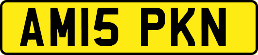 AM15PKN