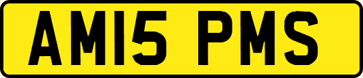 AM15PMS