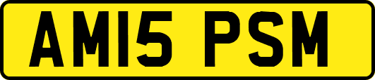 AM15PSM