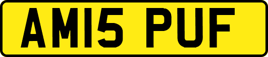 AM15PUF