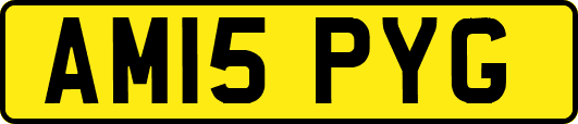 AM15PYG