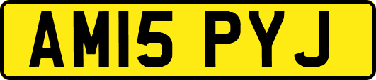 AM15PYJ